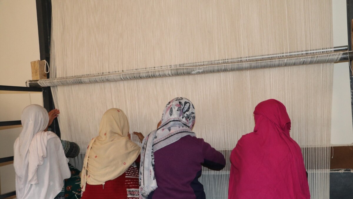 Employment & Job Opportunities – Social Empowerment For Sustainable ...